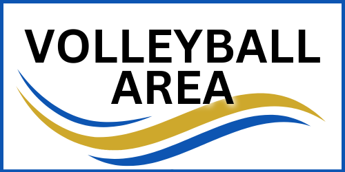 VOLLEYBALL AREAS