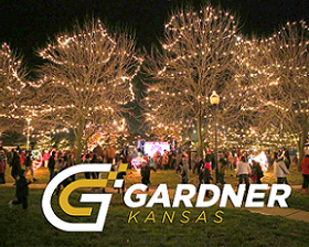 Christmas Tree Lights  Pic Gardner