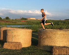 Gardner Grind Pic hay bales thumbnail