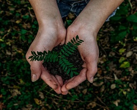 Earth Day Image hands holding plant-thumbnail