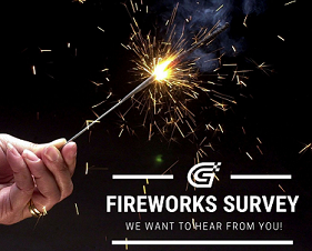 Fireworks Survey 2021 thumbnail